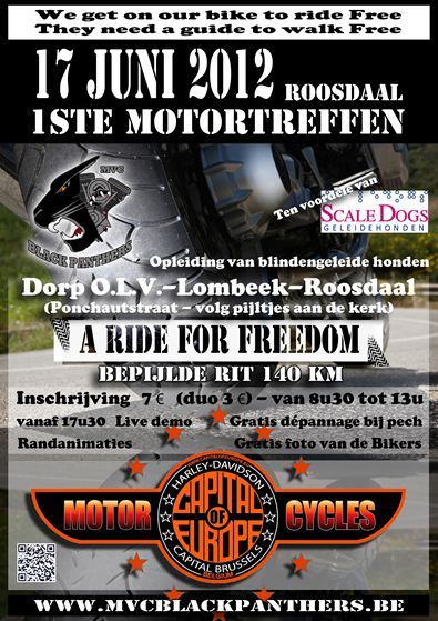 06-17_black_panthers_uit_roosdaal