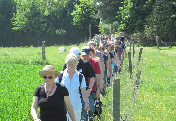 Editiepajot_dilbeek_wandeling_van_trage_wegen_ingezonden_foto