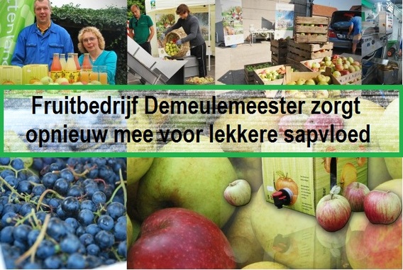 Mobiele_en_vaste_fruitpers