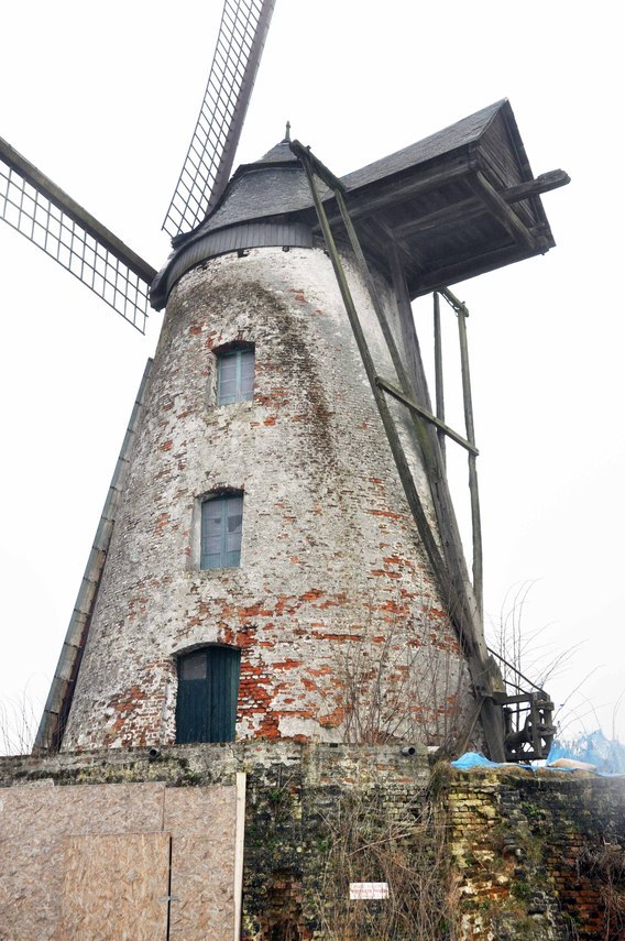 Editiepajot_halle_molen_1__foto_merckx