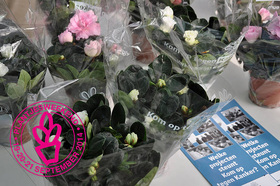 Editiepajot-ingezonden-plantjesweekend-dilbeek-19092014