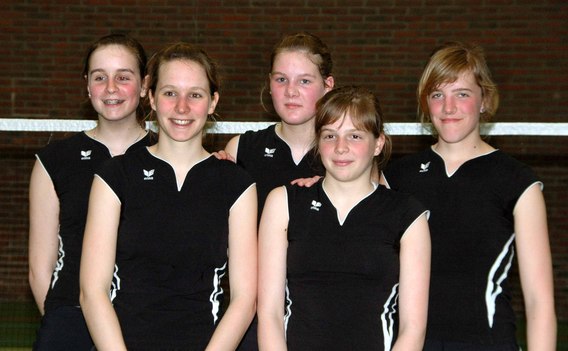 Halle_badminton_1gr