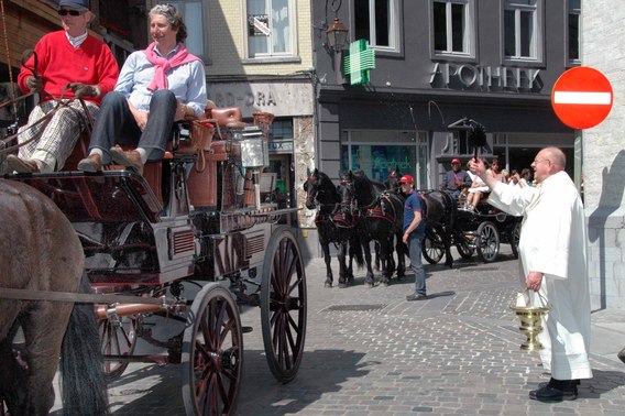 Halle_paarden_op_bedevaart_1_gr