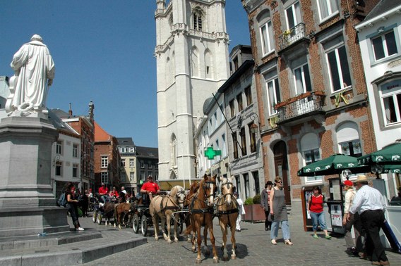 Halle_paarden_op_bedevaart_2_gr