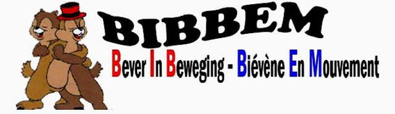 Logo_bibbem_