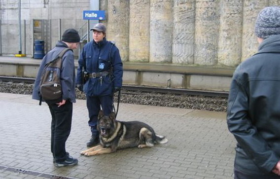 Editiepajot_hond_op_pensioen_halle_grote_foto