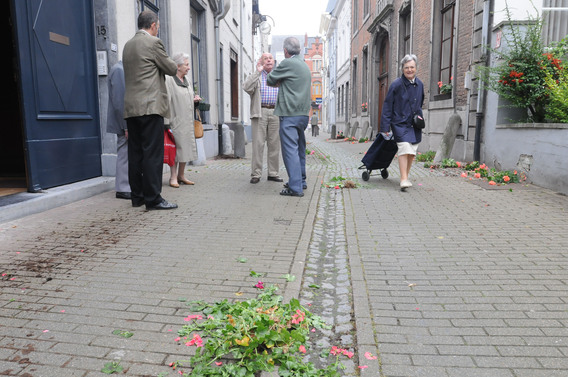 Halle_bloembakken_vernield