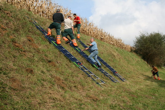 Editiepajot_dilbeek_bloembollen_foto_jena-pierre_schoukens