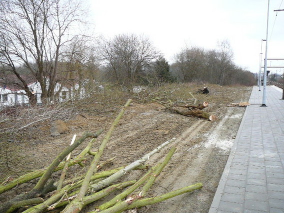 Ternat_spoorweg_illegaal_foto_jurgen_thiebout__4_