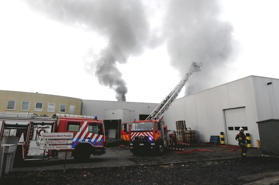 Lot_brand
