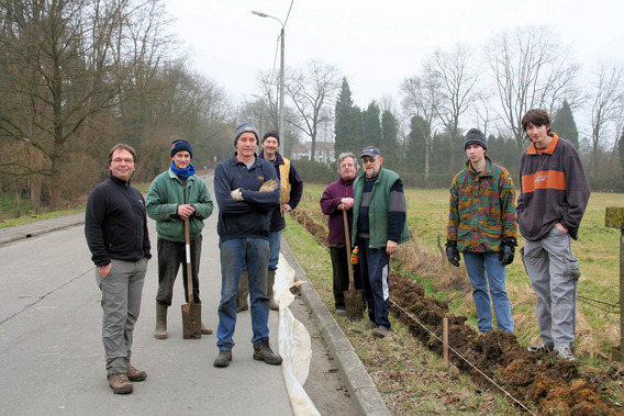 Editiepajot_roosdaal_paddenoversteek_foto_02_willy_appelmans