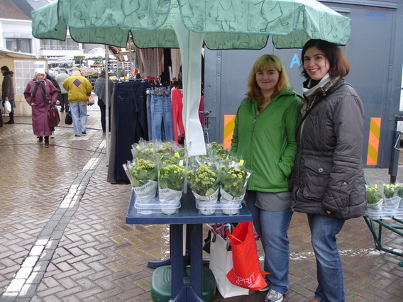 Editiepajot_ternat_carla_heylens_foto_ludo_van_der_cammen
