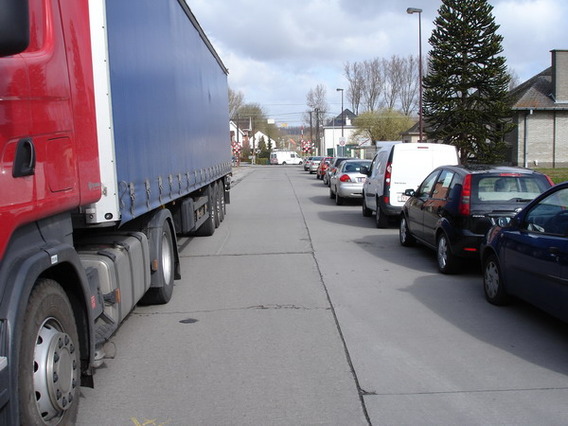 Editiepajot_ternat_sluivijverstraat_foto_ludo_van_der_cammen