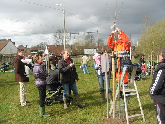 Editiepajot_ternat_geboorteboomgaard_foto_guido_van_cauwelaert__1_