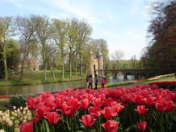 Editiepajot_dilbeek_groot-bijgaarden_bloemenpracht_foto_gerrit_achterland