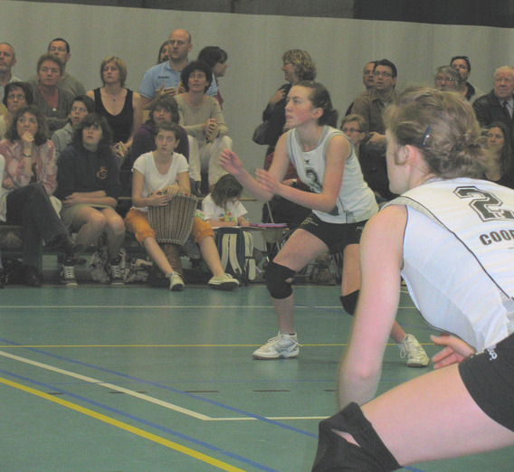 Editiepajot_gooik_volleygooik_foto_02_willy_appelmans