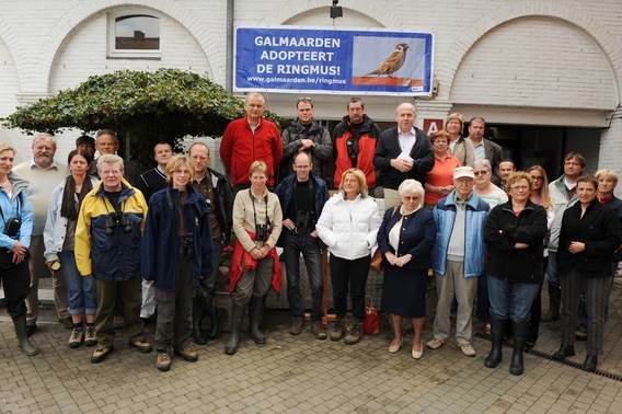 Colpaert_galmaarden_ringmus_1