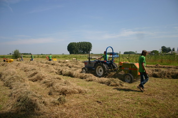 Editiepajot_roosdaal_geboortebos_foto_tom_vierendeels__2_