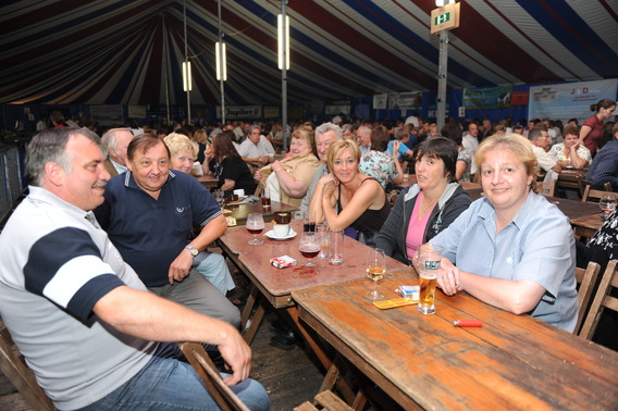 Editiepajot_galmaarden_herhout_1_foto_marc_colpaert