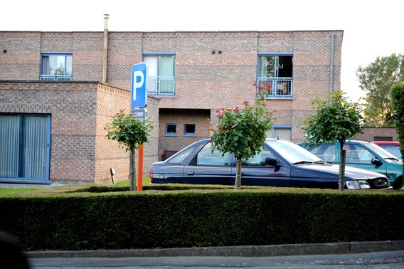 Editiepajot_galmaarden_akkerwinde_foto_marc_colpaert