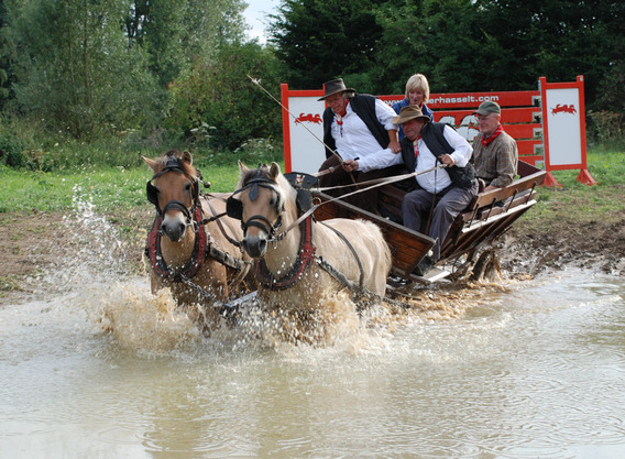 Editiepajot_affligem_koetsentocht_2009_foto_steven_walravens