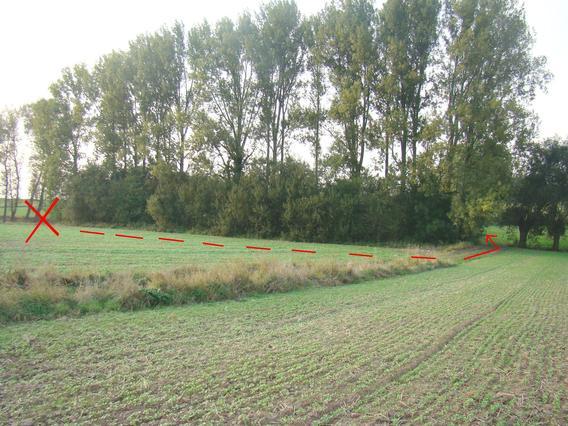 Herne_veediefstal_-_deschuyffeleer__21