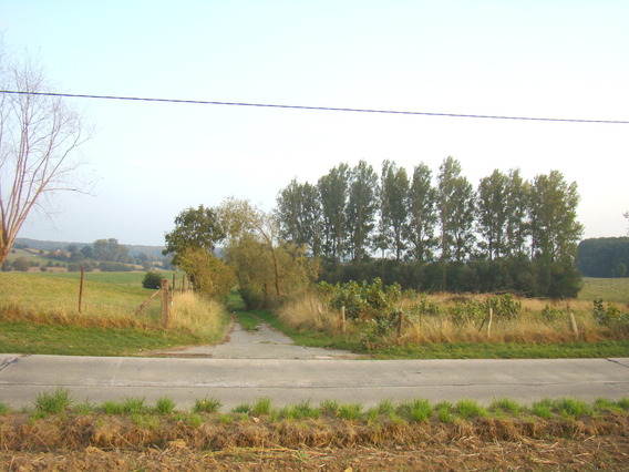 Herne_veediefstal_-_deschuyffeleer__7_