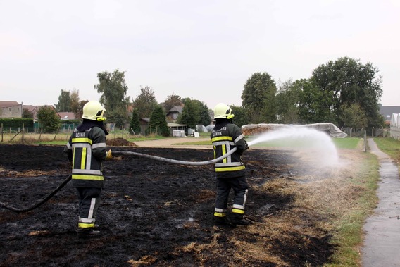 Editiepajot_roosdaal_brandje_03_tom_vierendeels