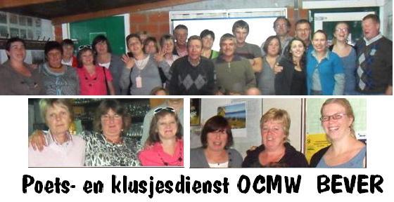 Editiepajot_poets_en_klusjesdienst_bever_-__deschuyffeleer