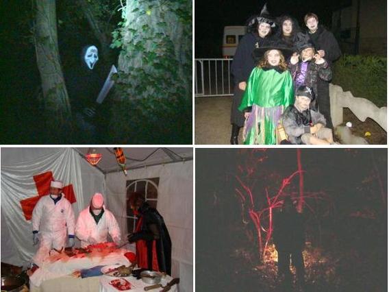 Collage_foto_s_deschuyffeleer