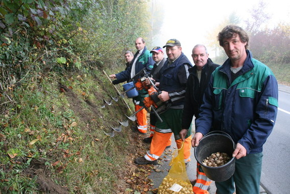 Editiepajot_dilbeek_groendienst_foto_jean-pierre_schoukens