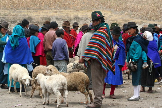 Editiepajot_liedekerke_e4cuador_foto_bertine_de_backer__2_