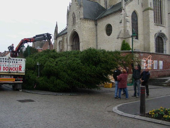 Editiepajot_roosdaal_kerstboomlombeek_foto_01_willy_appelmans