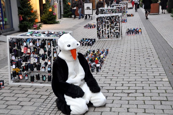 Editiepajot_halle_pinguins_2_foto_merckx