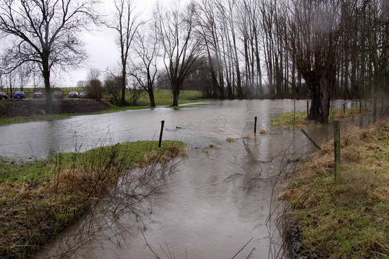 Editiepajot_lennik_storm_04_tom_vierendeels