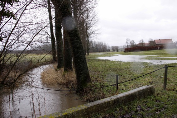 Editiepajot_lennik_storm_05_tom_vierendeels