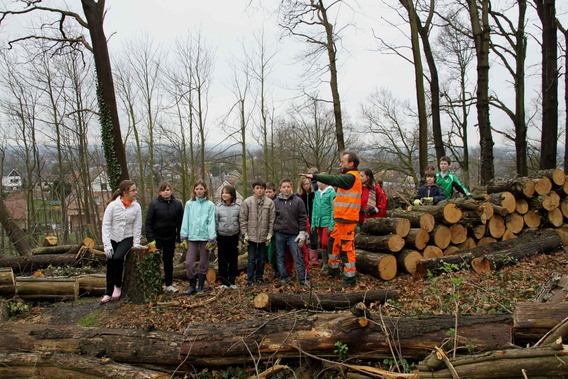 Editiepajot_roosdaal_lebergbos_foto_03_willy_appelmans