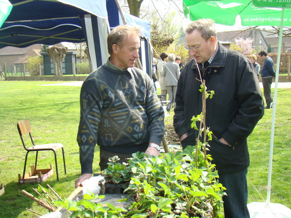 Herne_plantenruilbeurs_2010_een_succes_-_deschuyffeleer__6_