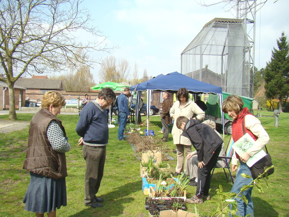 Herne_plantenruilbeurs_2010_een_succes_-_deschuyffeleer__4_