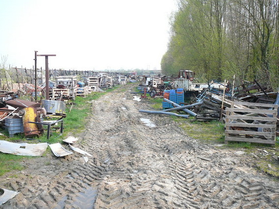 Editiepajot_ternat_sluikstort_spiegelstraat_foto_ludo_van_der_cammen__1_