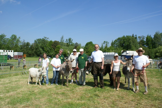 Jaarmarkt_herne_deschuyffeleer_mei_2010__11_