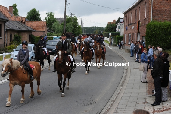 Editiepajoty_gooik_paarden_1_bewerkt