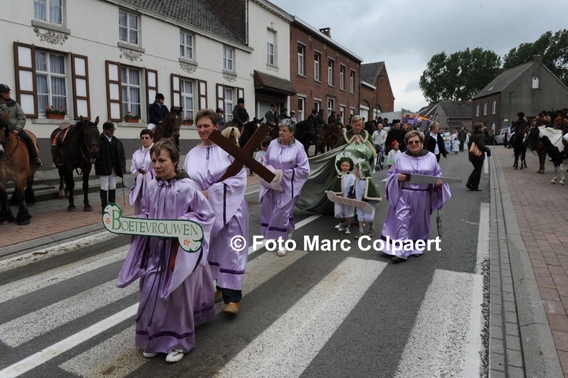 Editiepajot_gooik_paarden_3_bewerkt