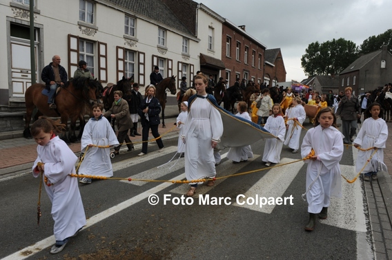 Editiepajot_gooik_paarden_4_bewerkt