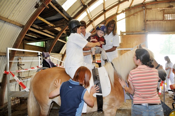 Editiepajot_vlezenbeek_paarden_3_gr_foto_merckx