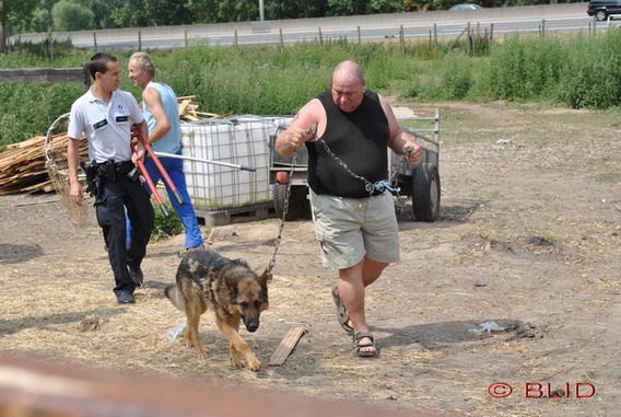 Editiepajot_dilbeek_dierenverwaarlozing_foto_blid__2_