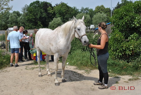 Editiepajot_dilbeek_dierenverwaarlozing_foto_blid__4_