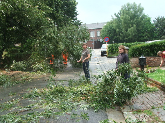 Editiepajot_affligem_stormschade_01_tom_vierendeels