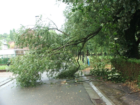 Editiepajot_affligem_stormschade_02_tom_vierendeels