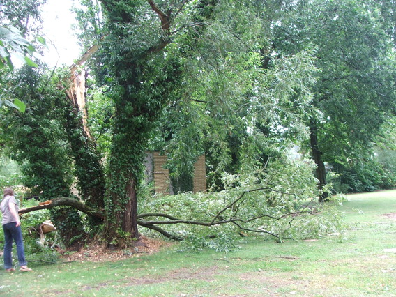Editiepajot_affligem_stormschade_03_tom_vierendeels